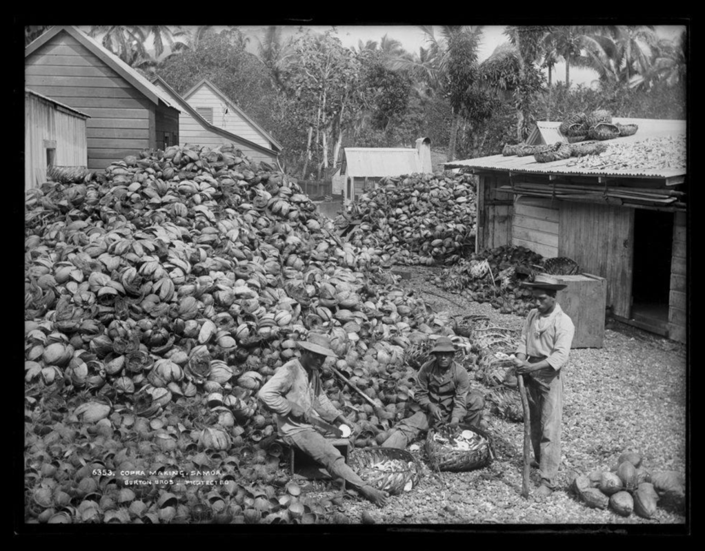 How Chinese Migrant Workers Resisted Coconut Colonialism in Samoa