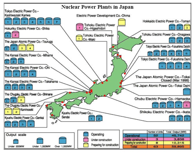 The Japanese Nuclear Power Option: What Price?
