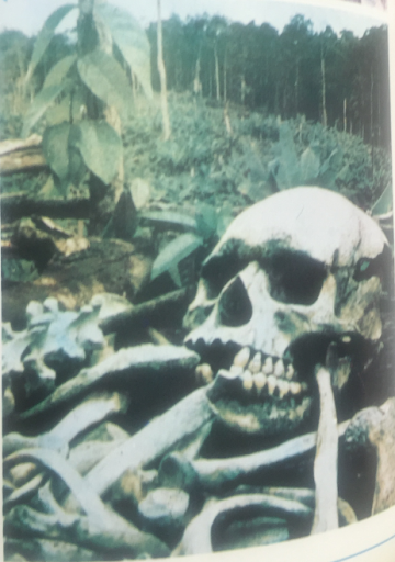 Finding the Remains of the Dead: Photographs from a Japanese Mission to New Guinea, 1969-1970