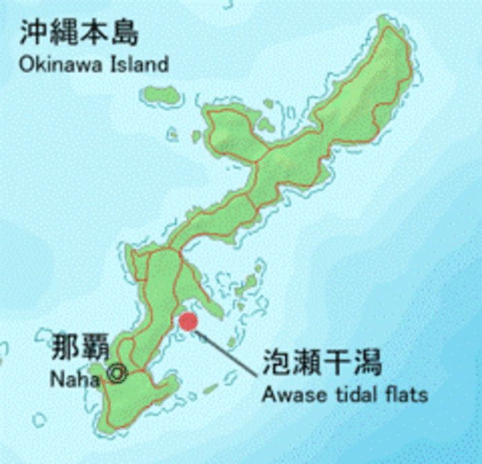 Opting for the “Irrational”: Tokyo Brushes Aside Okinawan Court Order to End Awase Wetlands Reclamation Project