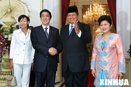 The Japan-Indonesia Economic Partnership: Agreement Between Equals?