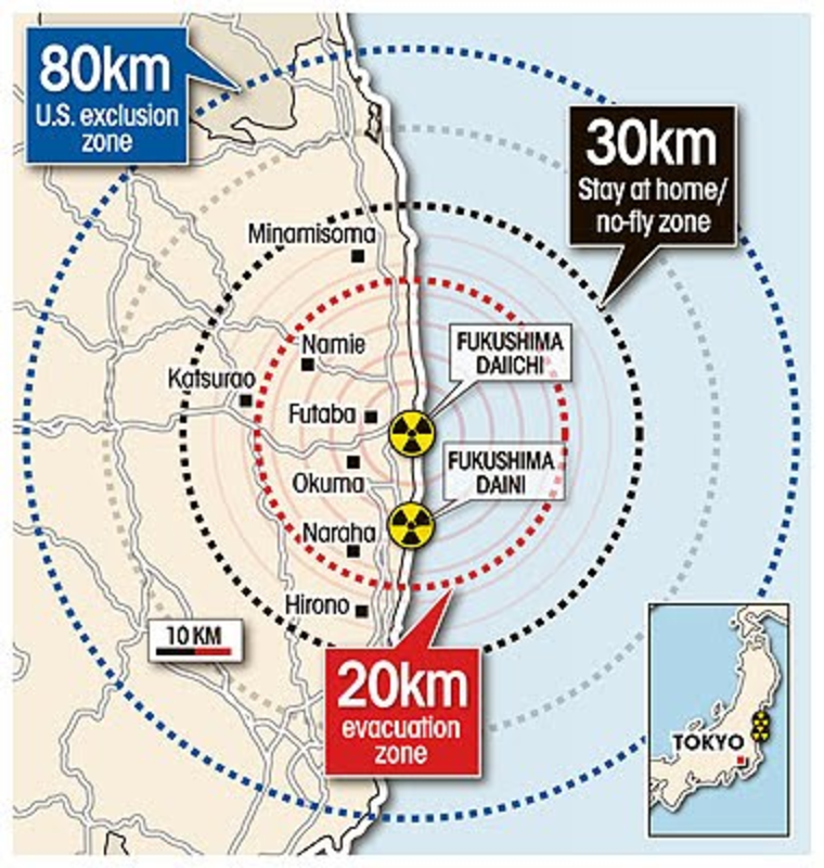 Radiation Decontamination in Fukushima: a critical perspective from the ground　　福島における放射性物質除去−−現地よりの批判的視点