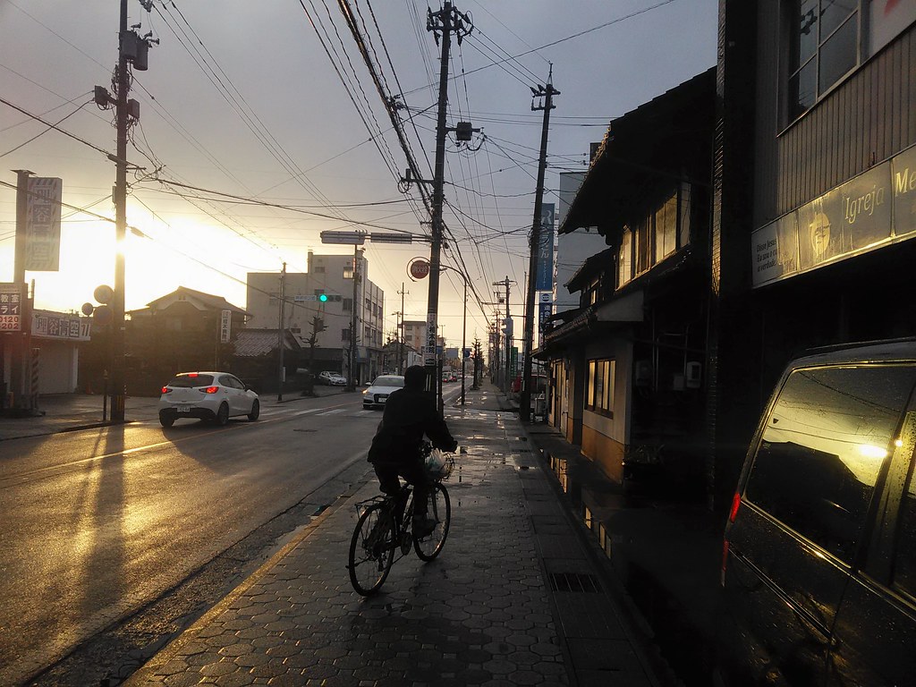 Have Japanese Voters Begun to Care about Migration?