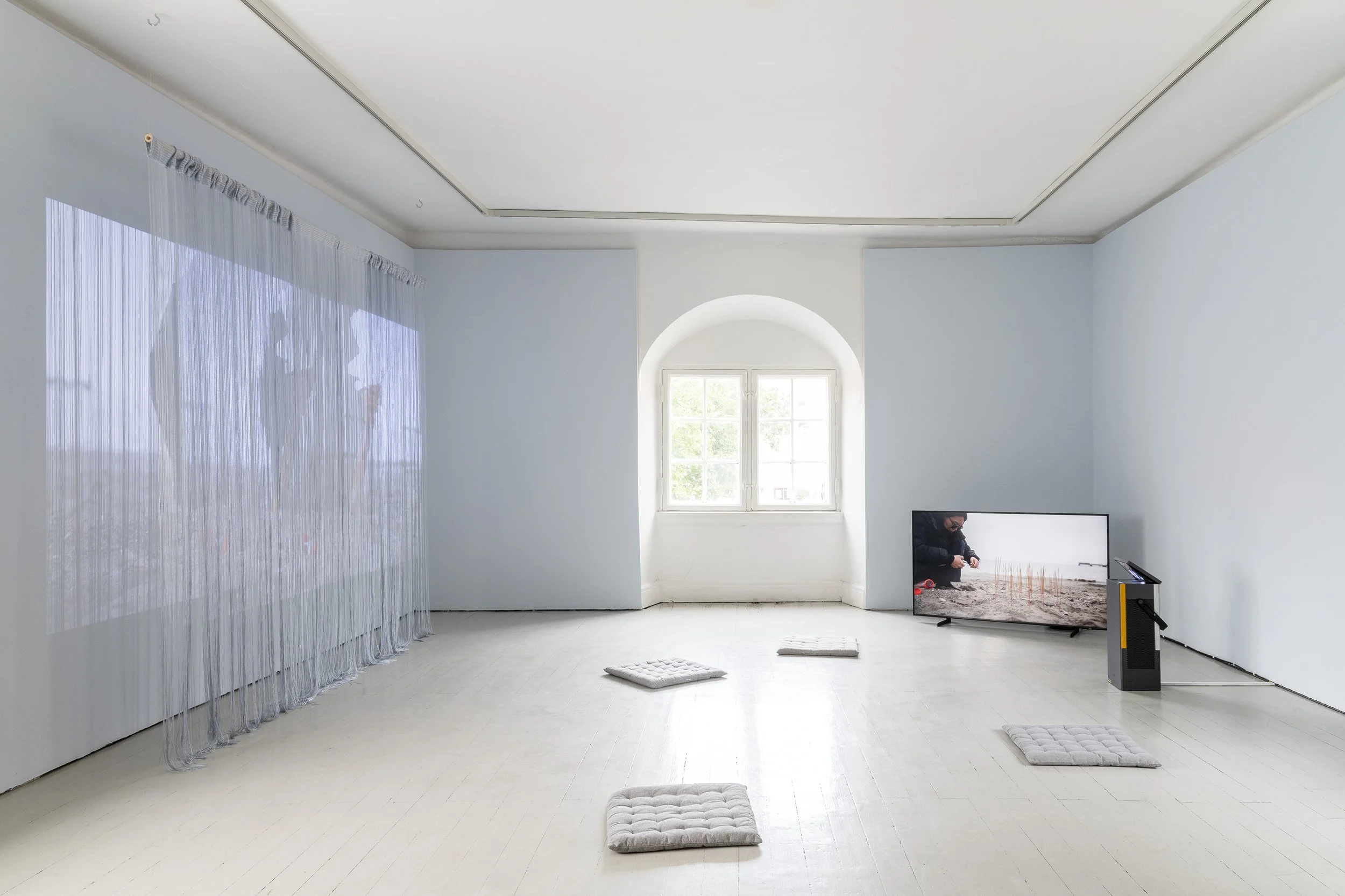 C. Grace Chang in Conversation With Asato Ikeda: “Art, Racism, and Immigration in Asian America and Sweden”