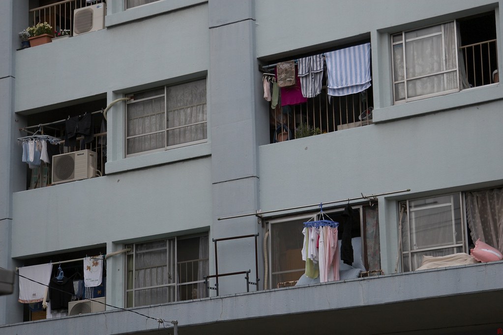 Withdrawal and Belonging: Ethnographic Insights from a Hikikomori Rehabilitation Center in Japan