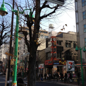 Cultural Connectivity and the Sustainability of Korea–Japan Cooperation